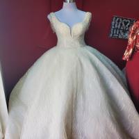 The Best Bride Dress 1