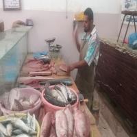 Picture From Inside Toari Fish Shop