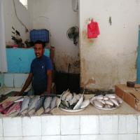 Al Raed For Fish Inside